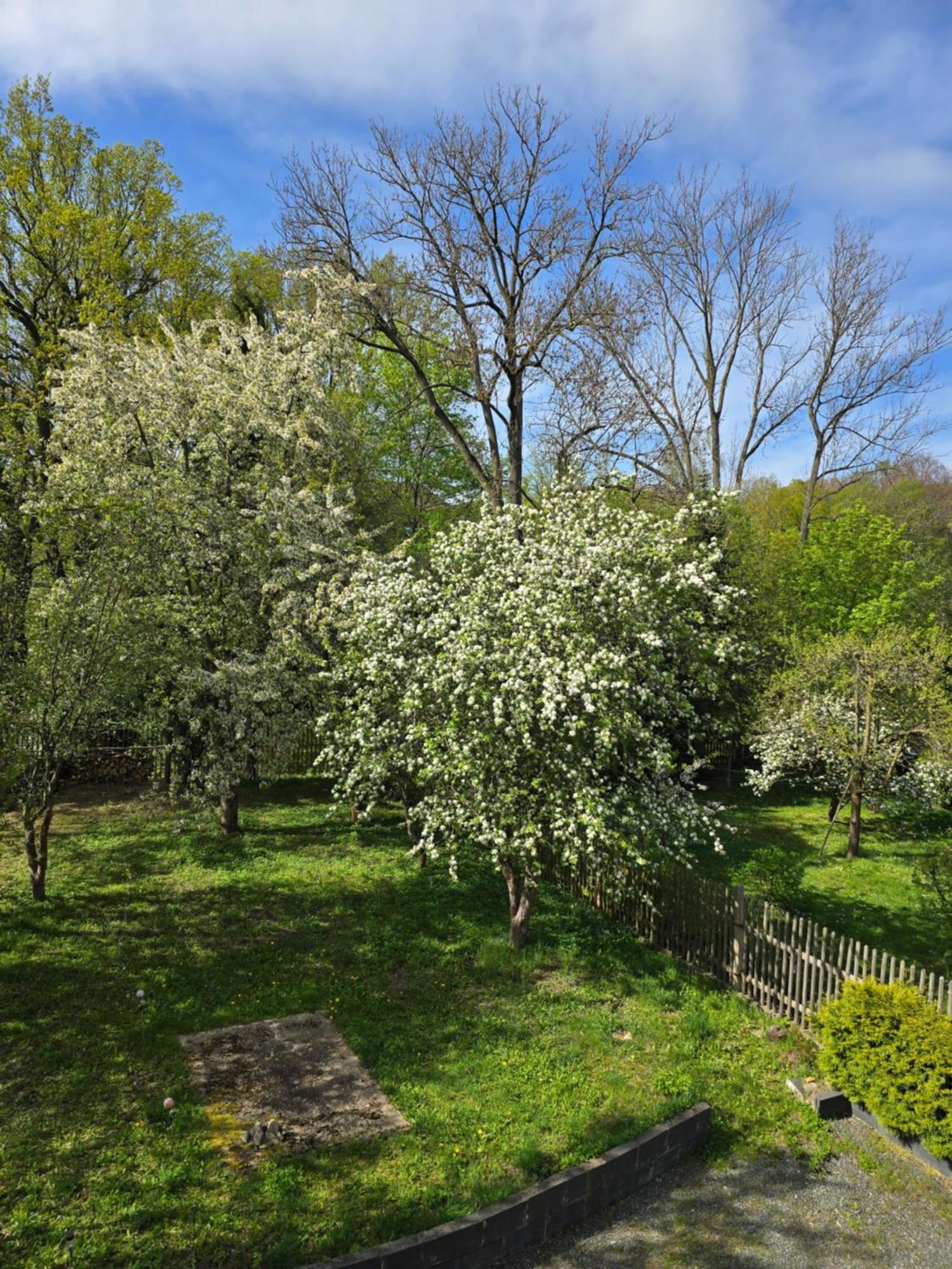 Villa Kuechwald Chemnitz Dış mekan fotoğraf