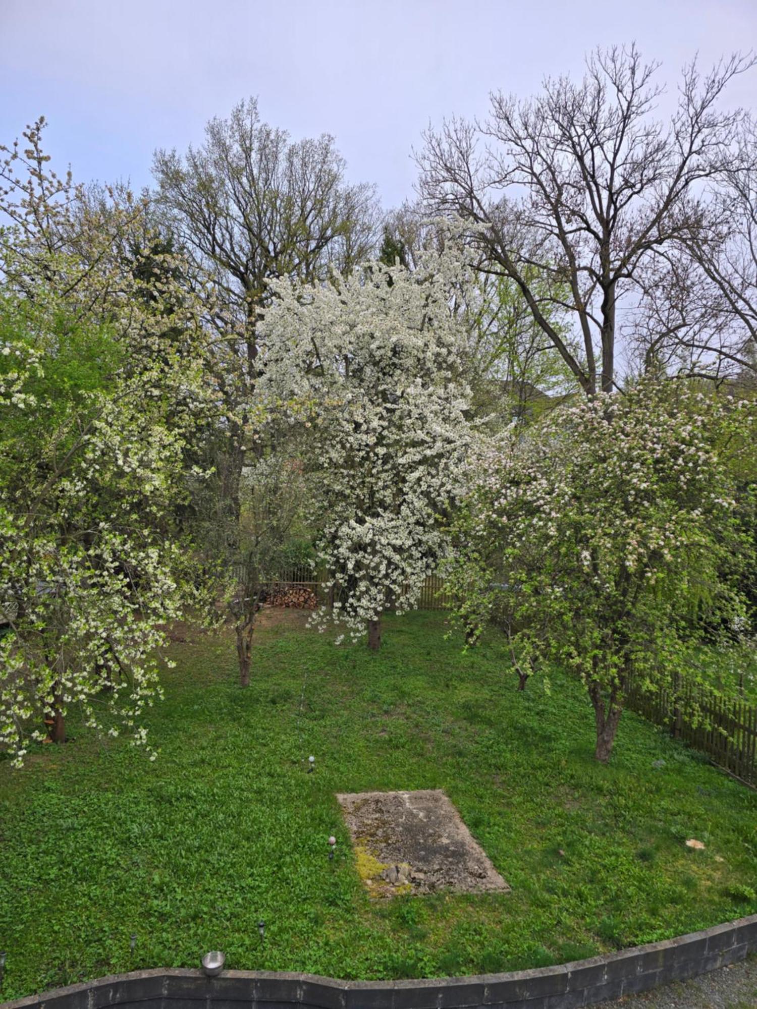 Villa Kuechwald Chemnitz Dış mekan fotoğraf