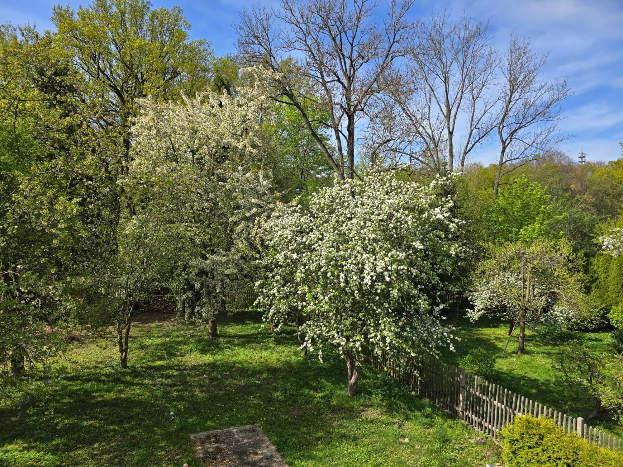 Villa Kuechwald Chemnitz Dış mekan fotoğraf