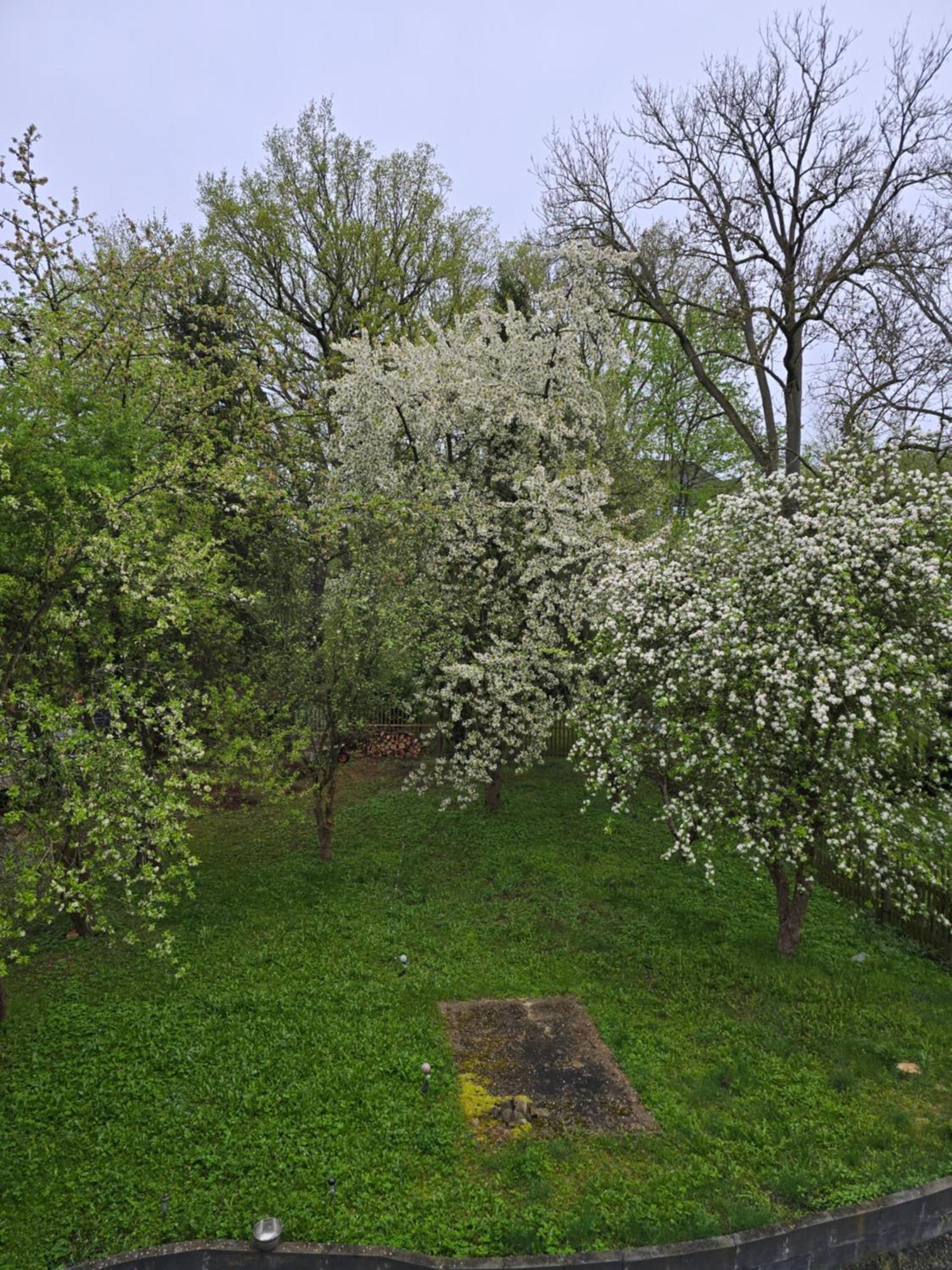 Villa Kuechwald Chemnitz Dış mekan fotoğraf